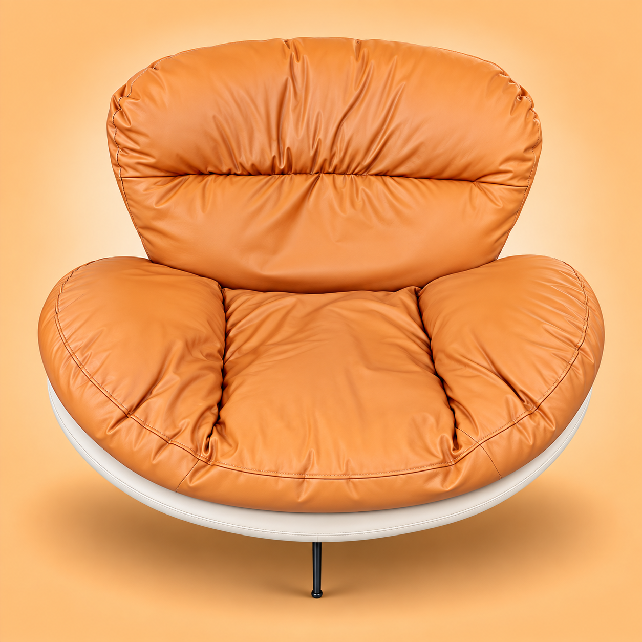 Leather leisure dual chair