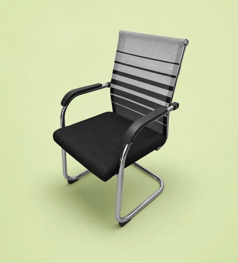 Zebra chair visitor chair